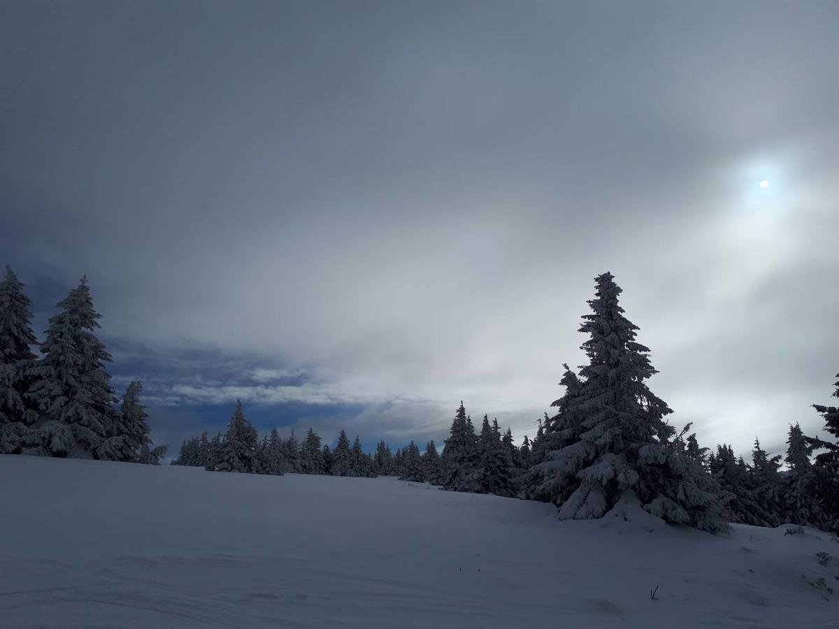 Katia М14 Milmari Resort Kopaonik Exteriér fotografie